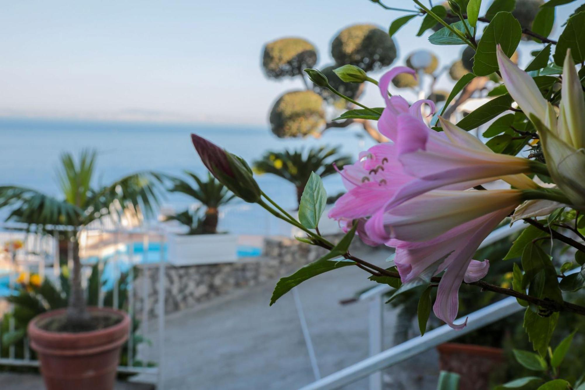 Hotel Villa Lubrense Sorrento Massa Lubrense Buitenkant foto